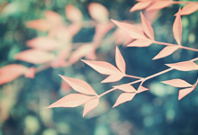 IT运维就靠一个叫“堡垒机”的东西，能防删库跑路吗？