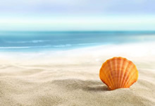 宝塔开启SSL打不开网站如何检查Nginx/Apache配置